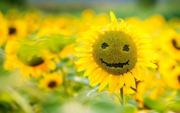 خطوات تقود المرأة لحياة إيجابية